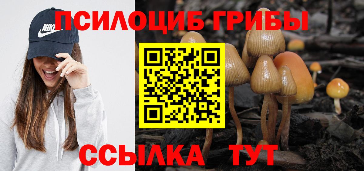 Отрадное  Галлюциногенные грибы Psilocybe  Вход с VPN 